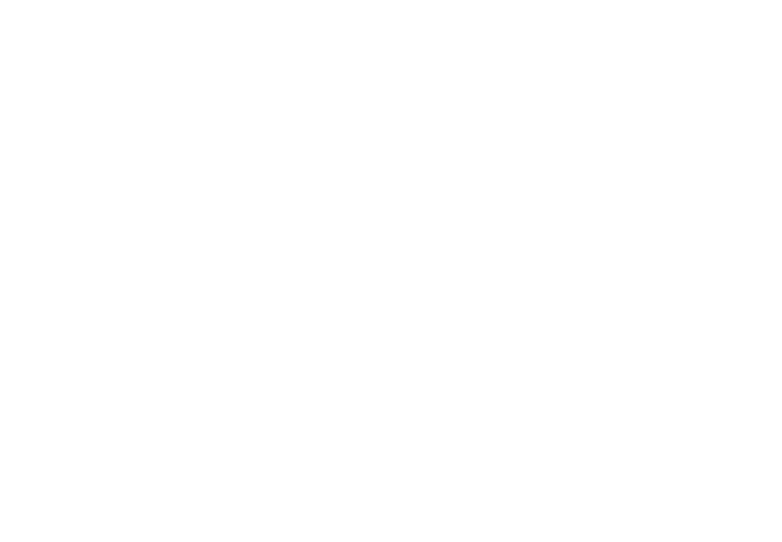 Nissan-Datsun Specialist Logo